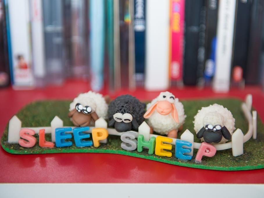Sleep Sheep Phuket Hostel Sha Dış mekan fotoğraf
